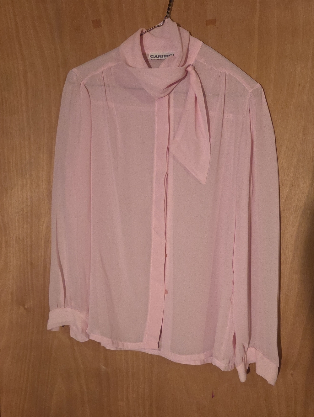 Vintage 80s Caribou  Light Pink Tie-Neck Sheer Blouse